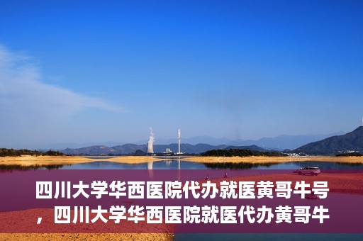 四川大学华西医院代办就医黄哥牛号，四川大学华西医院就医代办黄哥牛号解析，专业医疗服务的背后故事