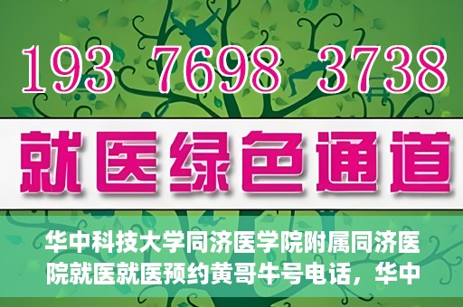 华中科技大学同济医学院附属同济医院就医就医预约黄哥牛号电话，华中科技大学同济医院就医预约指南，黄哥牛号电话全解析