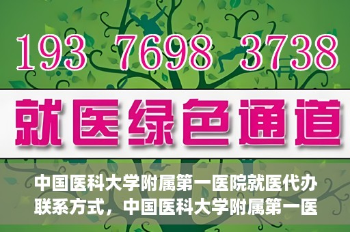 中国医科大学附属第一医院就医代办联系方式，中国医科大学附属第一医院就医代办服务联系方式及流程解析
