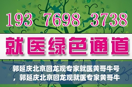 郭延庆北京回龙观专家就医黄哥牛号，郭延庆北京回龙观就医专家黄哥牛号揭秘，专业医术与人文关怀的双重优势