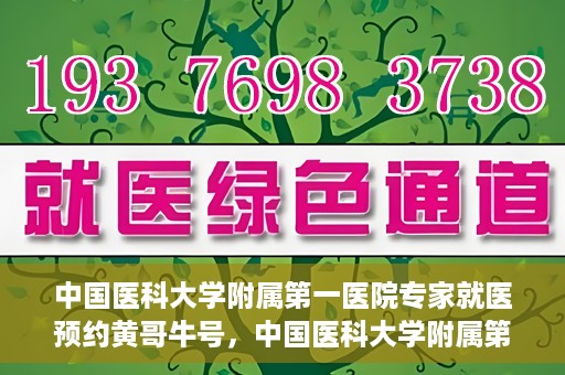 中国医科大学附属第一医院专家就医预约黄哥牛号，中国医科大学附属第一医院专家黄哥牛号预约就医攻略