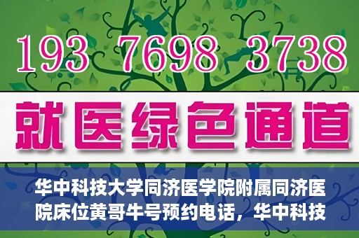 华中科技大学同济医学院附属同济医院床位黄哥牛号预约电话，华中科技大学同济医院床位预约及黄哥牛号咨询热线