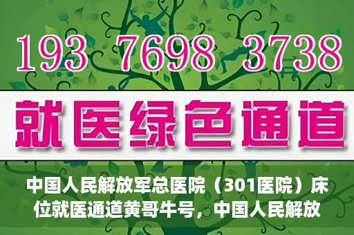 中国人民解放军总医院（301医院）床位就医通道黄哥牛号，中国人民解放军总医院（301医院）床位就医通道详解，黄哥牛号助您快速就医！