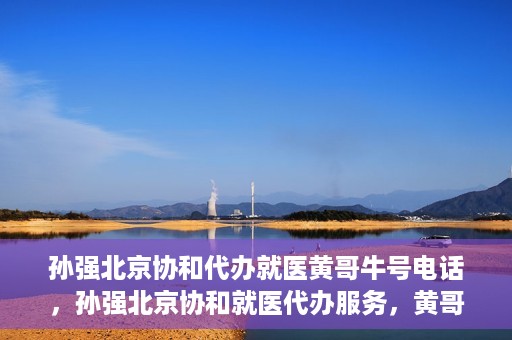 孙强北京协和代办就医黄哥牛号电话，孙强北京协和就医代办服务，黄哥牛号联系电话曝光