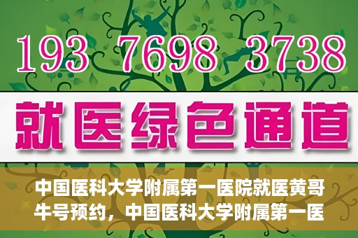 中国医科大学附属第一医院就医黄哥牛号预约，中国医科大学附属第一医院就医黄哥牛号预约攻略详解