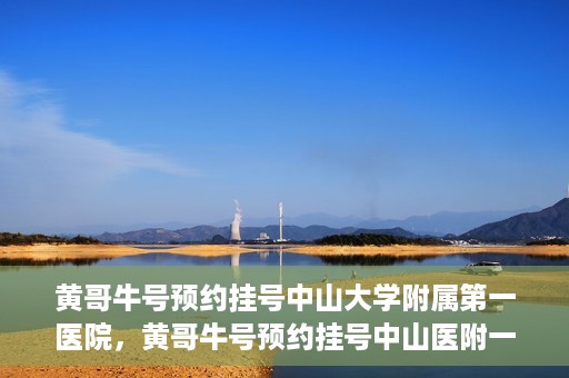 黄哥牛号预约挂号中山大学附属第一医院，黄哥牛号预约挂号中山医附一院，一站式便捷就医体验