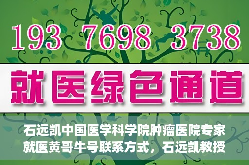 石远凯中国医学科学院肿瘤医院专家就医黄哥牛号联系方式，石远凯教授，中国医学科学院肿瘤医院权威专家解析就医攻略及联系方式揭秘