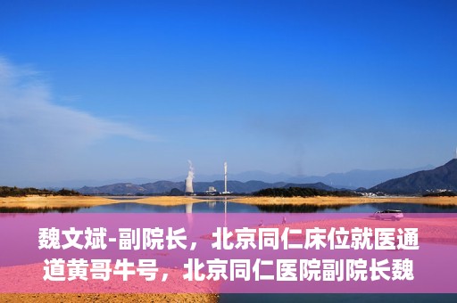 魏文斌-副院长，北京同仁床位就医通道黄哥牛号，北京同仁医院副院长魏文斌揭秘，床位就医通道背后的黄哥牛号故事