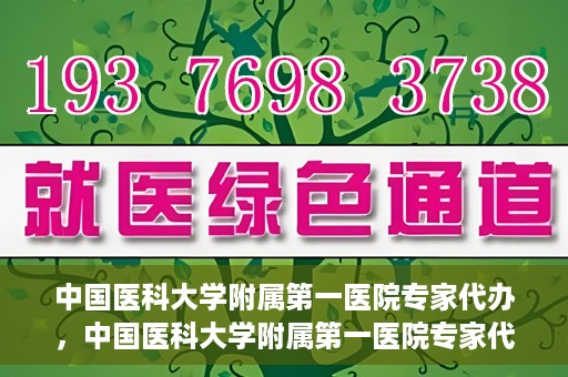 中国医科大学附属第一医院专家代办，中国医科大学附属第一医院专家代办服务详解