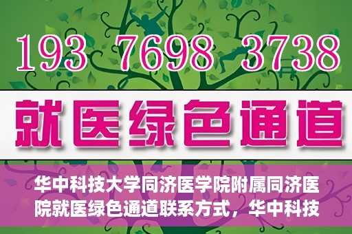 华中科技大学同济医学院附属同济医院就医绿色通道联系方式，华中科技大学同济医院就医绿色通道联系方式及流程简介