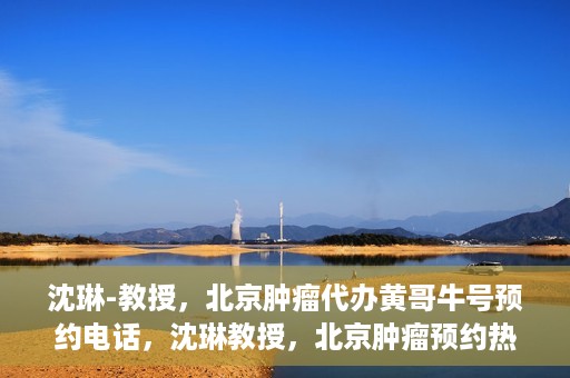 沈琳-教授，北京肿瘤代办黄哥牛号预约电话，沈琳教授，北京肿瘤预约热线解读及黄哥牛号预约电话揭秘