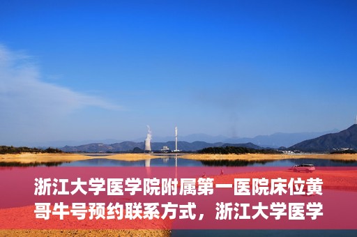 浙江大学医学院附属第一医院床位黄哥牛号预约联系方式，浙江大学医学院附属第一医院床位预约攻略，黄哥牛号预约联系方式揭秘