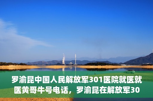 罗渝昆中国人民解放军301医院就医就医黄哥牛号电话，罗渝昆在解放军301医院就医经历，揭秘黄哥牛号背后的故事与电话曝光