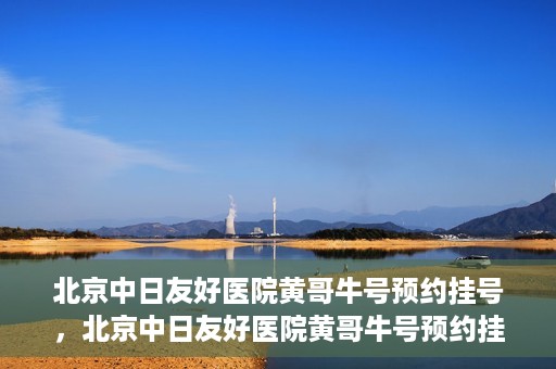 北京中日友好医院黄哥牛号预约挂号，北京中日友好医院黄哥牛号预约挂号指南