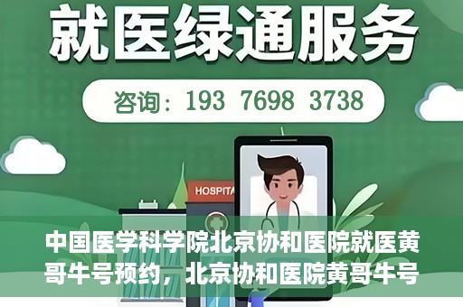 中国医学科学院北京协和医院就医黄哥牛号预约，北京协和医院黄哥牛号预约攻略，就医指南与医学权威体验