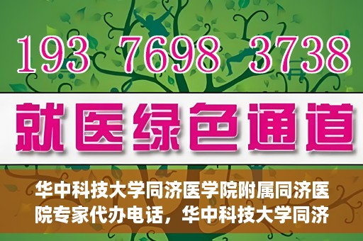 华中科技大学同济医学院附属同济医院专家代办电话，华中科技大学同济医学院附属同济医院专家预约电话服务解析