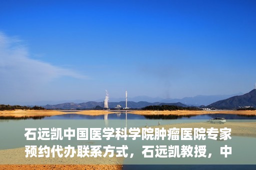 石远凯中国医学科学院肿瘤医院专家预约代办联系方式，石远凯教授，中国医学科学院肿瘤医院预约挂号代办联系方式揭秘