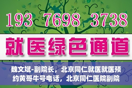 魏文斌-副院长，北京同仁就医就医预约黄哥牛号电话，北京同仁医院副院长魏文斌，就医预约背后的故事与黄哥牛号电话揭秘