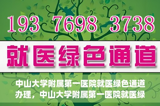中山大学附属第一医院就医绿色通道办理，中山大学附属第一医院就医绿色通道办理详解，一站式解决您的就医难题