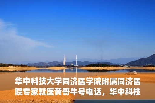 华中科技大学同济医学院附属同济医院专家就医黄哥牛号电话，华中科技大学同济医院专家黄哥牛号电话就医指南