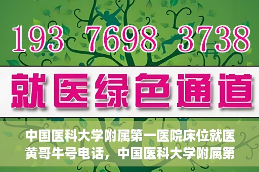 中国医科大学附属第一医院床位就医黄哥牛号电话，中国医科大学附属第一医院床位就医咨询黄哥牛号专线电话揭秘