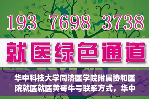 华中科技大学同济医学院附属协和医院就医就医黄哥牛号联系方式，华中科技大学同济医学院附属协和医院就医指南，黄哥牛号联系方式揭秘