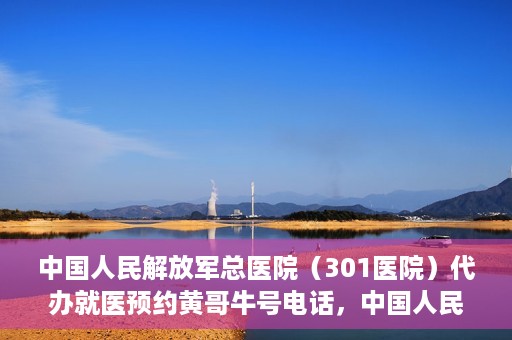 中国人民解放军总医院（301医院）代办就医预约黄哥牛号电话，中国人民解放军总医院（301医院）黄哥就医预约代办服务联系电话解析
