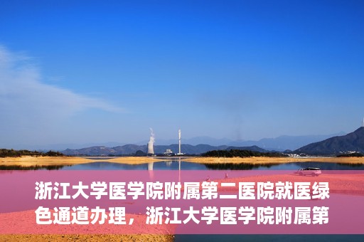 浙江大学医学院附属第二医院就医绿色通道办理，浙江大学医学院附属第二医院就医绿色通道办理详解与指南