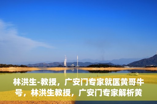 林洪生-教授，广安门专家就医黄哥牛号，林洪生教授，广安门专家解析黄哥牛号就医之道