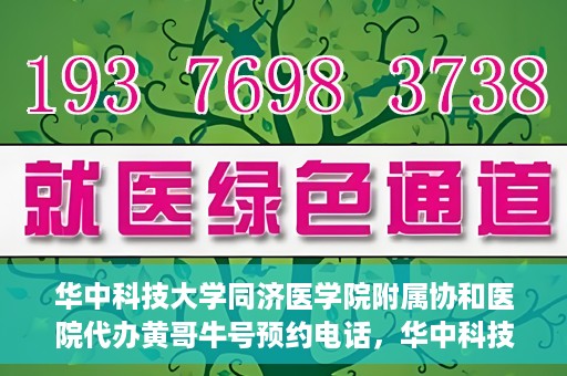 华中科技大学同济医学院附属协和医院代办黄哥牛号预约电话，华中科技大学同济医学院附属协和医院代办预约电话，黄哥牛号预约专线揭秘