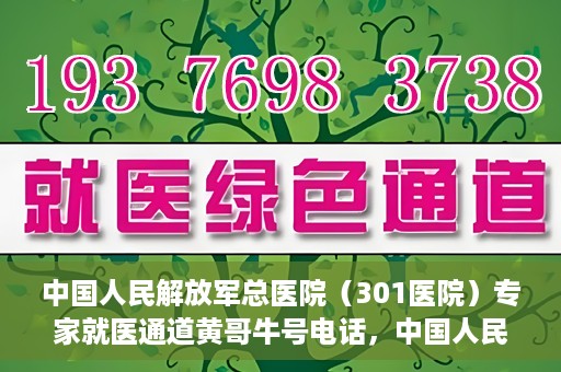 中国人民解放军总医院（301医院）专家就医通道黄哥牛号电话，中国人民解放军总医院（301医院）专家就医通道热线电话揭秘，黄哥牛号助您快速预约专家号