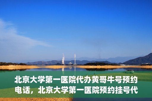 北京大学第一医院代办黄哥牛号预约电话，北京大学第一医院预约挂号代办电话黄哥牛号预约服务详解