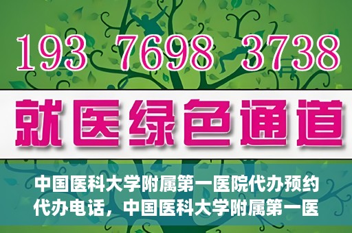 中国医科大学附属第一医院代办预约代办电话，中国医科大学附属第一医院预约代办服务热线详解