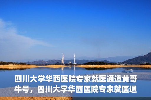 四川大学华西医院专家就医通道黄哥牛号，四川大学华西医院专家就医通道，黄哥牛号引领就医新风尚