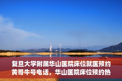 复旦大学附属华山医院床位就医预约黄哥牛号电话，华山医院床位预约热线揭秘，黄哥牛号电话就医攻略