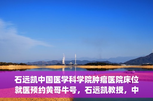 石远凯中国医学科学院肿瘤医院床位就医预约黄哥牛号，石远凯教授，中国医学科学院肿瘤医院床位预约攻略及黄哥牛号解析