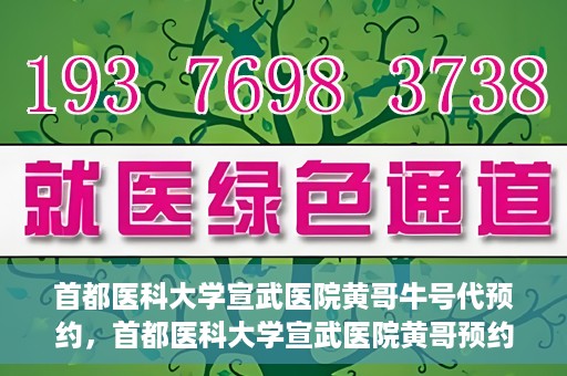 首都医科大学宣武医院黄哥牛号代预约，首都医科大学宣武医院黄哥预约代挂号服务解析