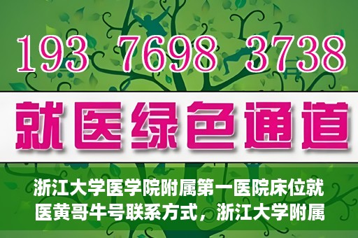 浙江大学医学院附属第一医院床位就医黄哥牛号联系方式，浙江大学附属第一医院床位就医指南，黄哥牛号联系方式揭秘