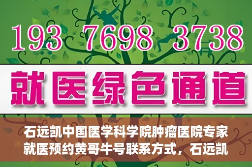 石远凯中国医学科学院肿瘤医院专家就医预约黄哥牛号联系方式，石远凯教授，中国医学科学院肿瘤医院专家预约挂号攻略及联系方式揭秘