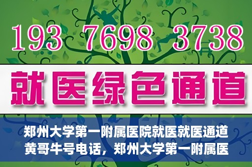 郑州大学第一附属医院就医就医通道黄哥牛号电话，郑州大学第一附属医院就医通道解析，黄哥牛号电话全解析