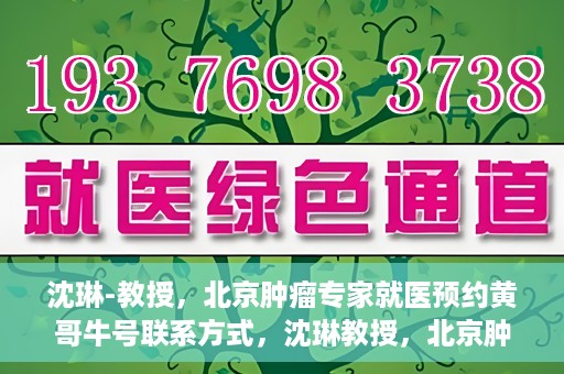 沈琳-教授，北京肿瘤专家就医预约黄哥牛号联系方式，沈琳教授，北京肿瘤专家预约攻略及黄哥牛号联系方式揭秘
