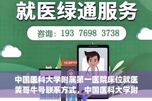 中国医科大学附属第一医院床位就医黄哥牛号联系方式，中国医科大学附属第一医院床位就医信息，黄哥牛号联系方式揭秘