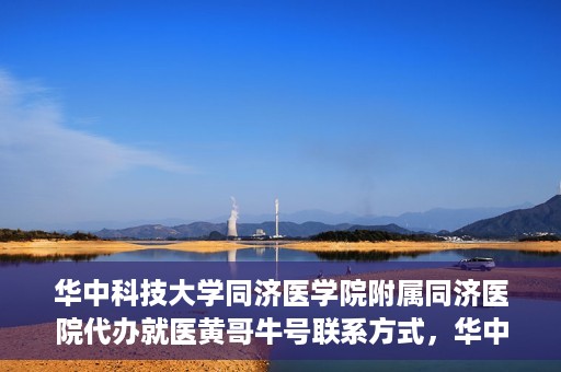 华中科技大学同济医学院附属同济医院代办就医黄哥牛号联系方式，华中科技大学同济医院就医黄哥牛号联系方式及代办服务解析
