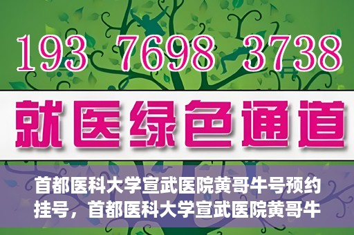 首都医科大学宣武医院黄哥牛号预约挂号，首都医科大学宣武医院黄哥牛号，预约挂号攻略