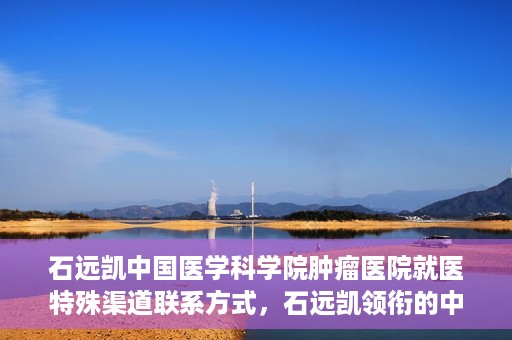 石远凯中国医学科学院肿瘤医院就医特殊渠道联系方式，石远凯领衔的中国医学科学院肿瘤医院就医特殊渠道指南