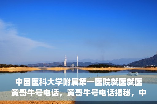 中国医科大学附属第一医院就医就医黄哥牛号电话，黄哥牛号电话揭秘，中国医科大学附属第一医院就医指南与就医体验分享