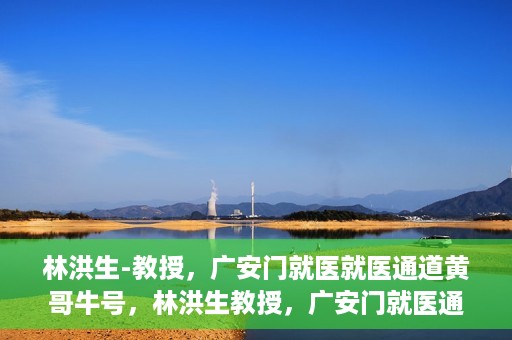 林洪生-教授，广安门就医就医通道黄哥牛号，林洪生教授，广安门就医通道揭秘与黄哥牛号的故事