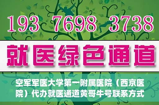 空军军医大学第一附属医院（西京医院）代办就医通道黄哥牛号联系方式，空军军医大学第一附属医院就医通道代办联系方式揭秘，黄哥牛号助您便捷就医