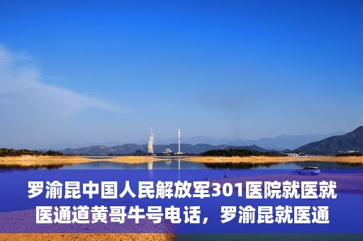 罗渝昆中国人民解放军301医院就医就医通道黄哥牛号电话，罗渝昆就医通道揭秘，中国人民解放军301医院黄哥牛号电话的背后故事