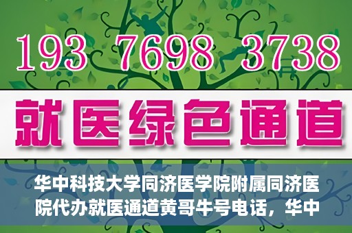 华中科技大学同济医学院附属同济医院代办就医通道黄哥牛号电话，华中科技大学同济医院就医通道代办服务，黄哥牛号联系电话揭秘